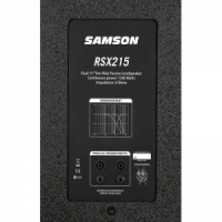 RSX215 2 WAY PA CAB