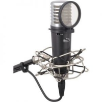 MTR201 1" CONDENSER MIC